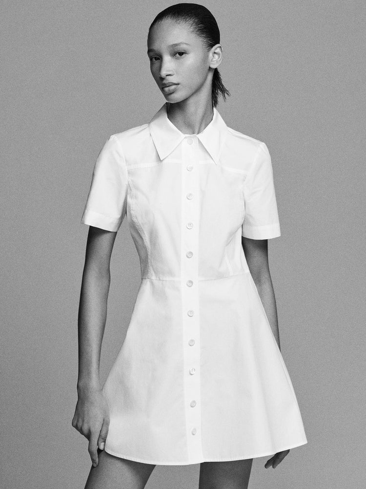 The Flare Mini Dress