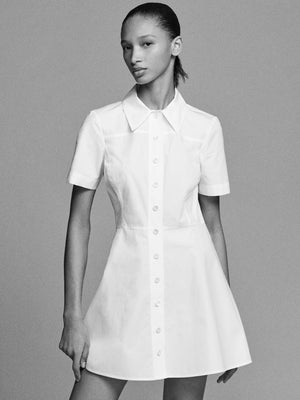The Flare Mini Dress